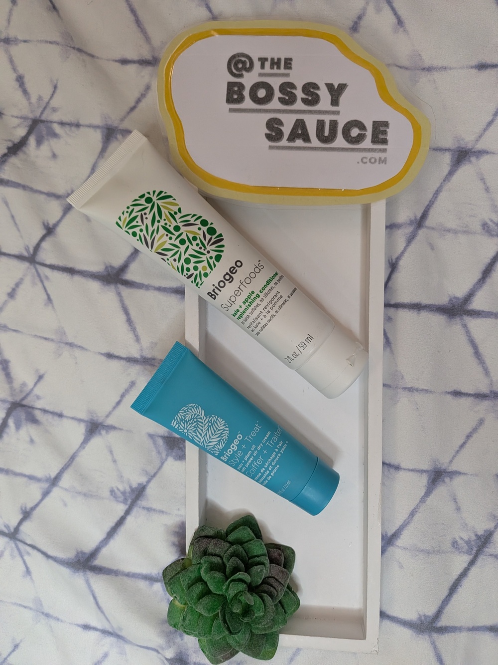 🌸 Briogeo Superfoods Conditioner & Style + Treat Travel Duo NWT
